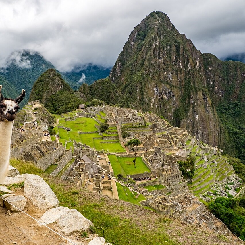 peru, machu picchu, lama, world heritage, landscape, peru, peru, peru, machu picchu, machu picchu, machu picchu, machu picchu, machu picchu