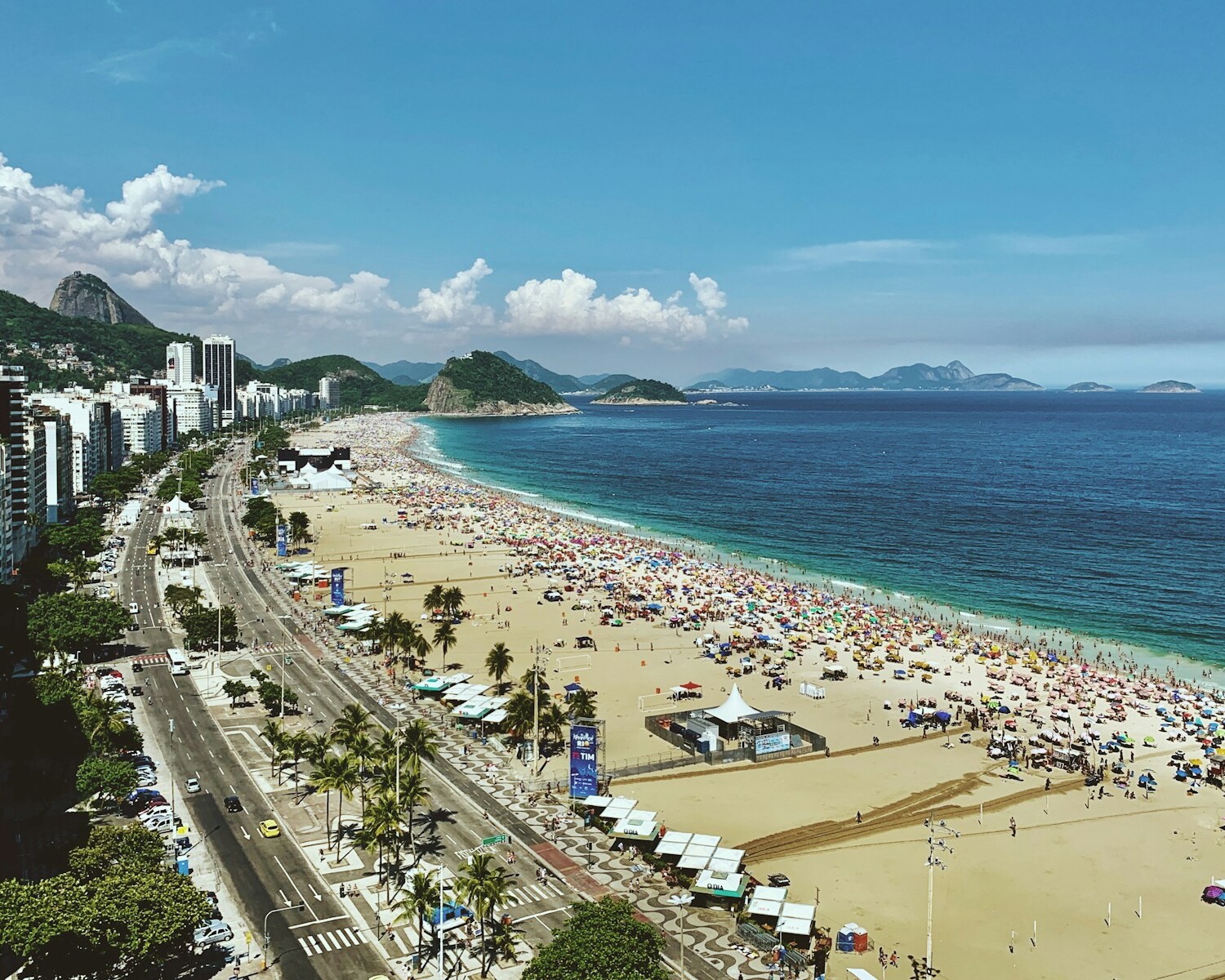 people on beach during daytime