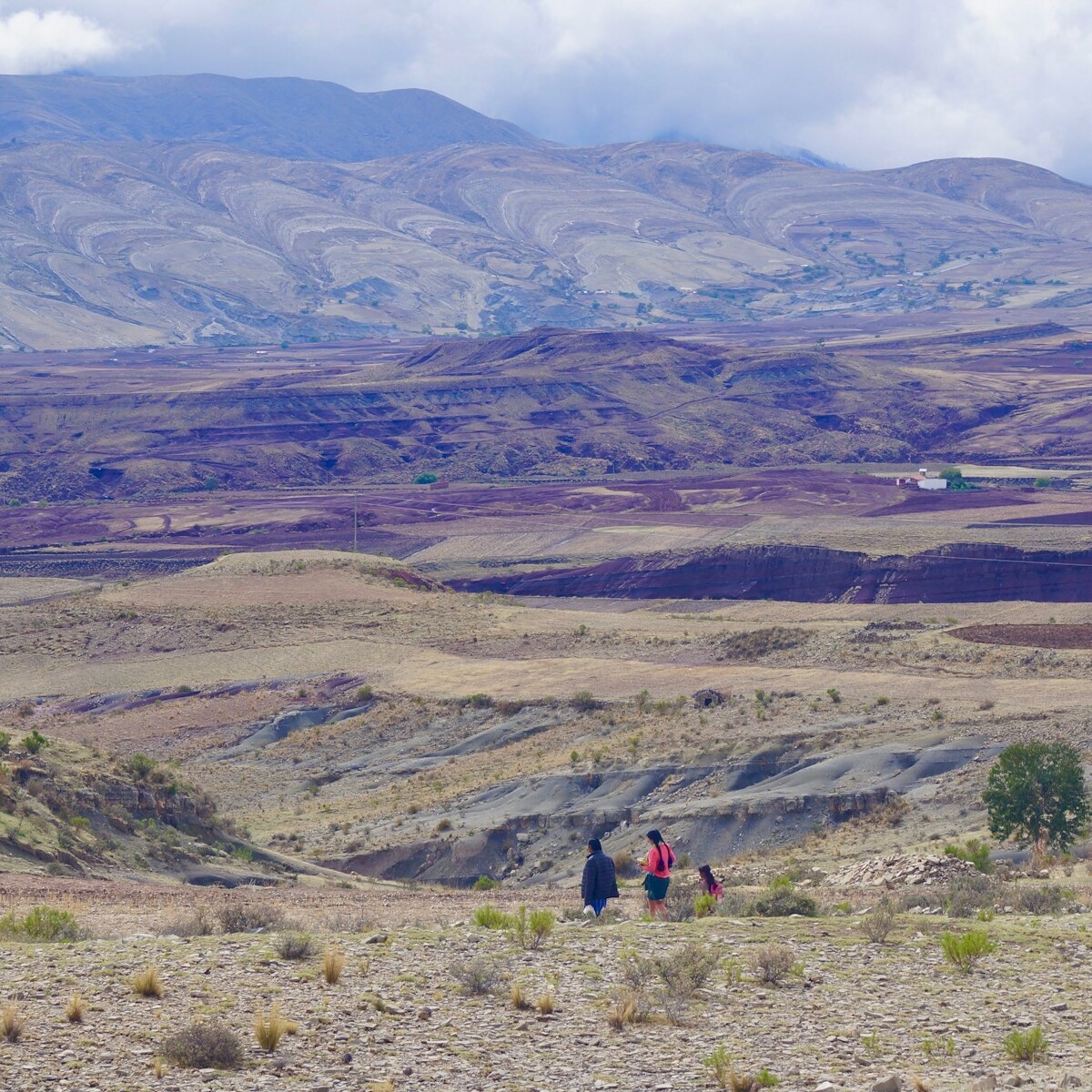 person in red jacket walking on brown field during daytime