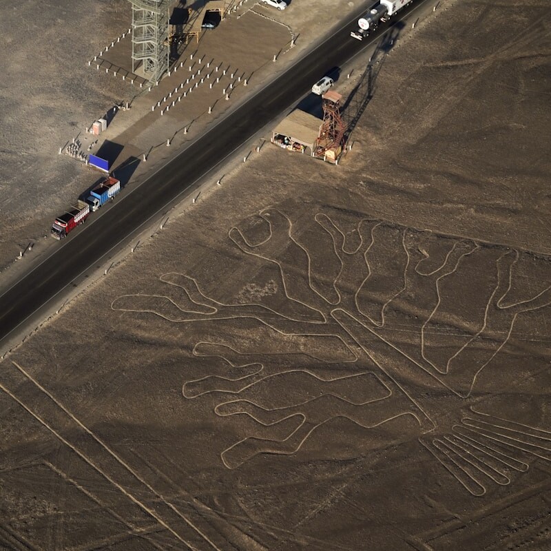 people walking on gray sand during daytime
