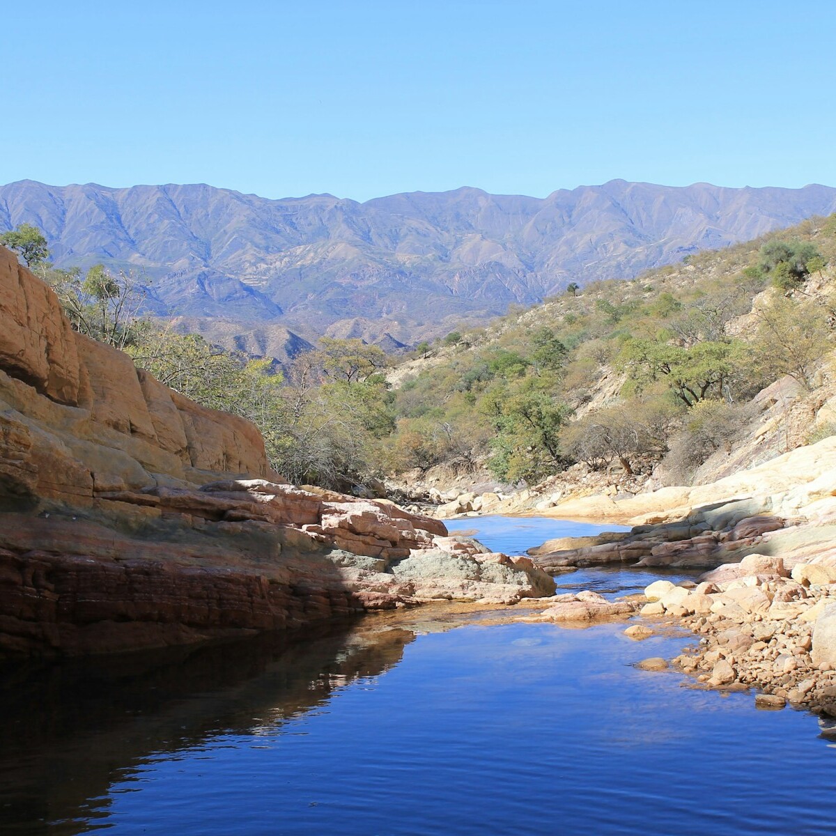 a body of water surrounded by mountains and trees