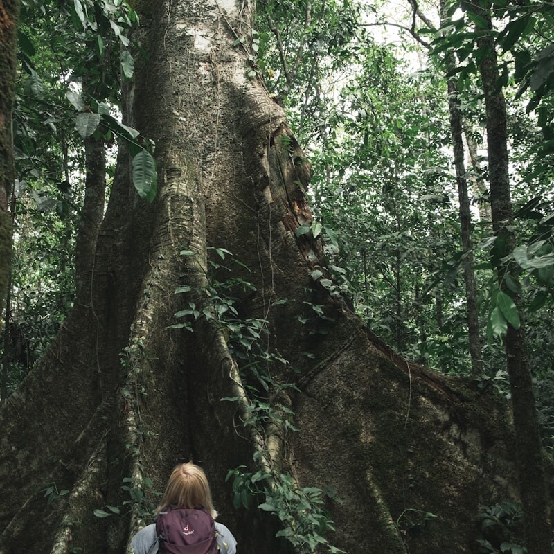 woman wearing brown backpack
