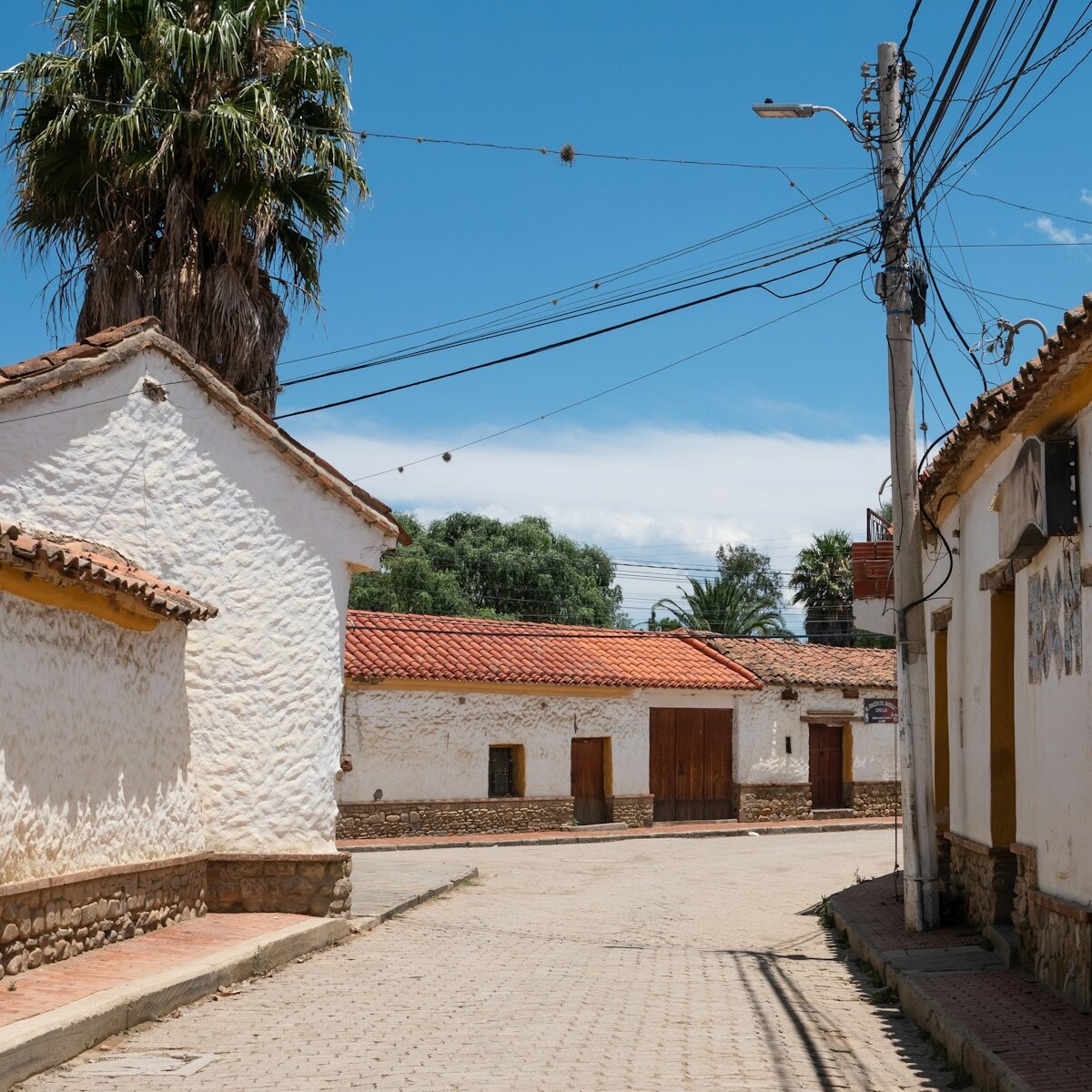 a street lined with white buildings and palm trees