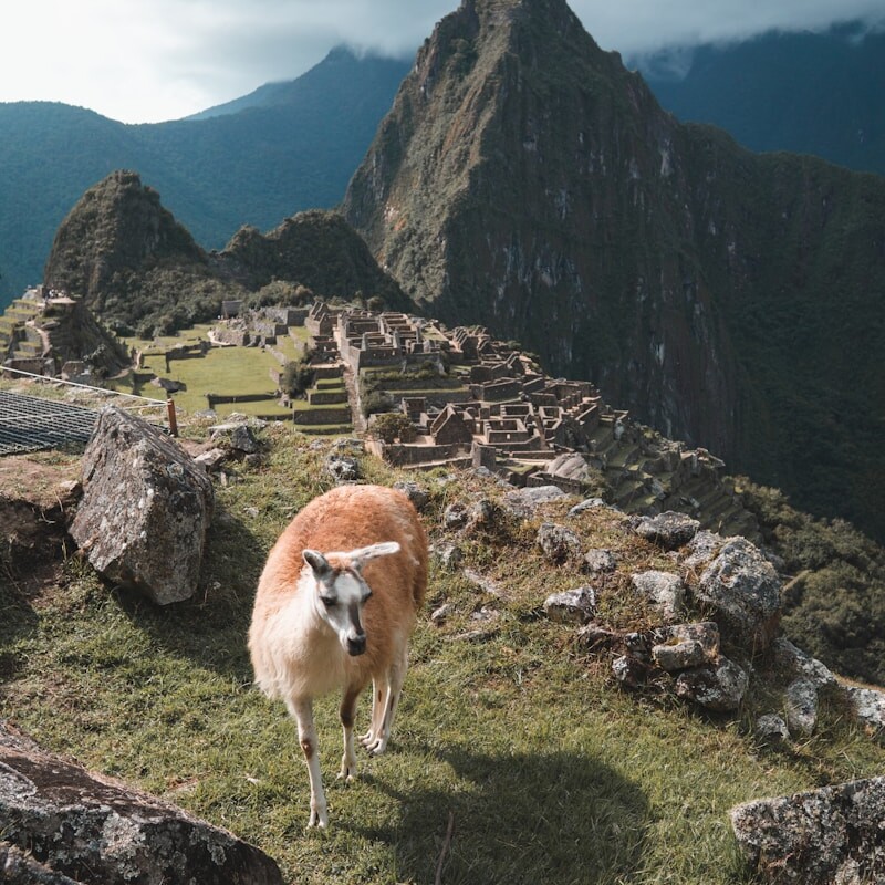 Peru, Huayna Picchu
