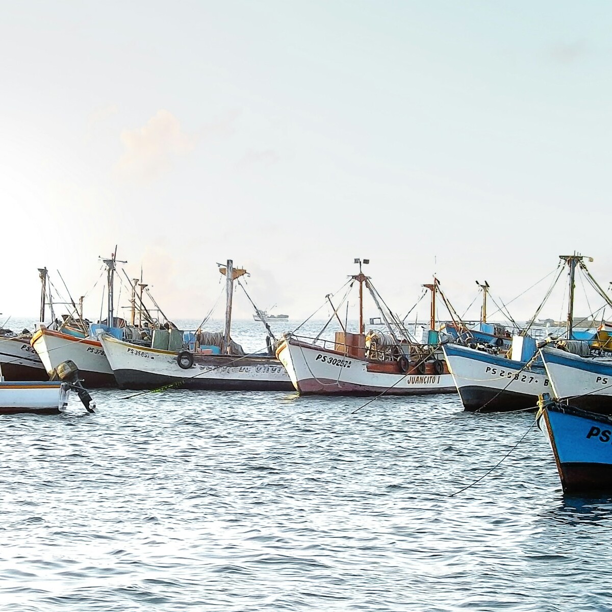 boats in the water