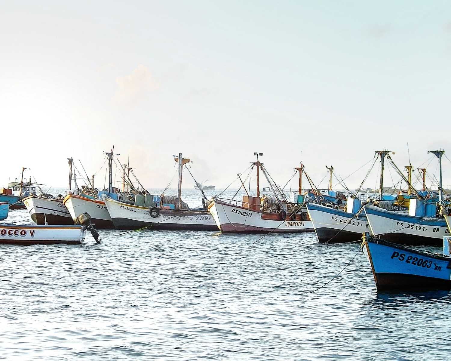 boats in the water